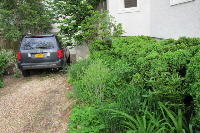 DrivewayHondaPilotOvergrownBushes